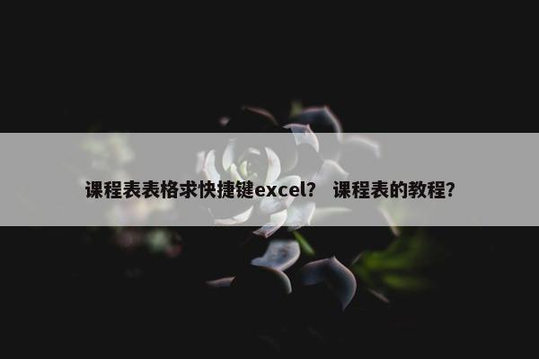 课程表表格求快捷键excel？ 课程表的教程？