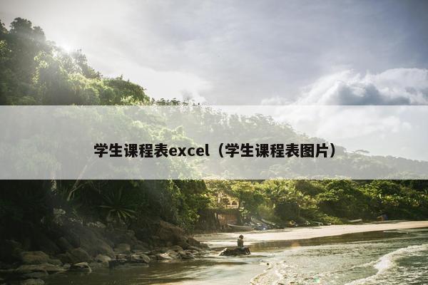 学生课程表excel（学生课程表图片）