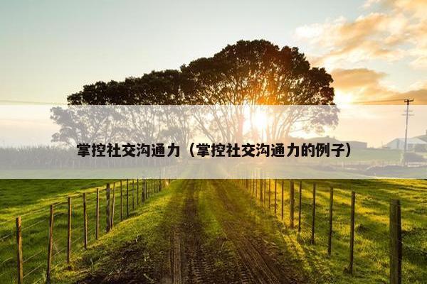 掌控社交沟通力（掌控社交沟通力的例子）