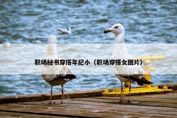 职场秘书穿搭年纪小（职场穿搭女图片）