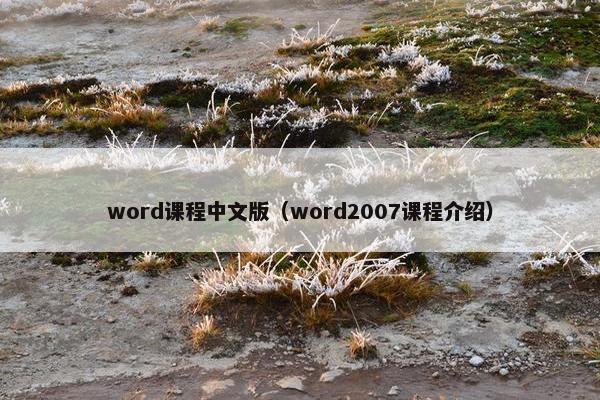 word课程中文版（word2007课程介绍）