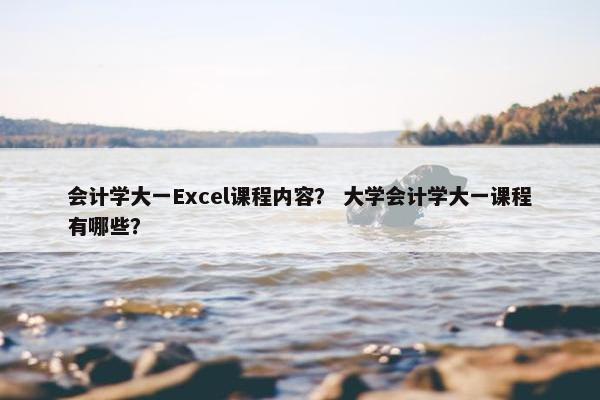 会计学大一Excel课程内容？ 大学会计学大一课程有哪些？