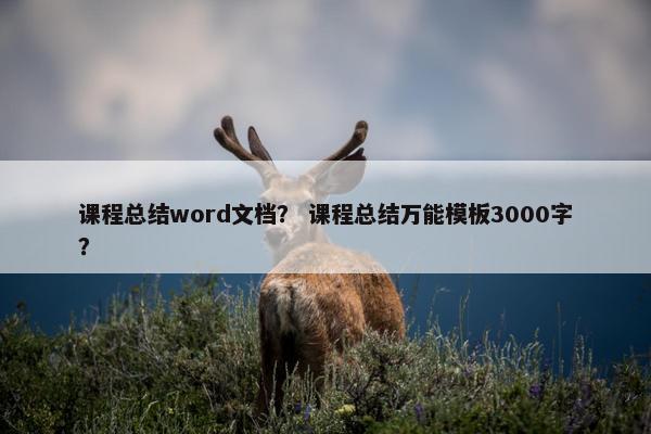 课程总结word文档？ 课程总结万能模板3000字？